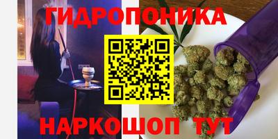 прущие грибы Котовск