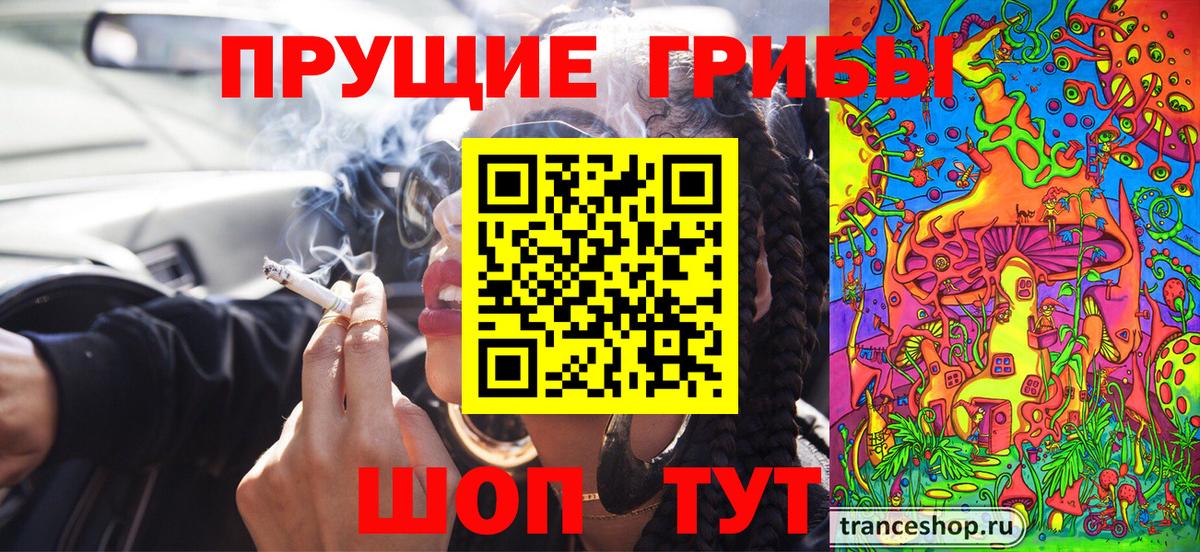 Псилоцибиновые грибы мицелий  Вход с VPN  Артём 